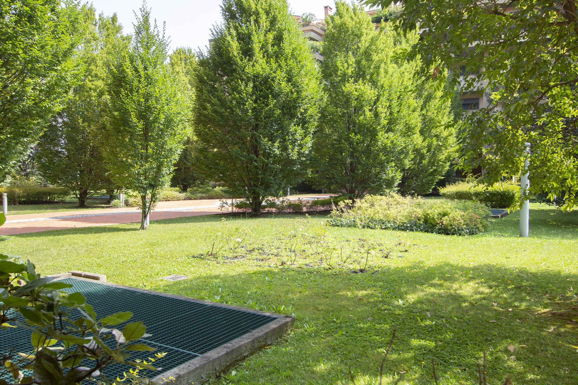 16 giardino condominiale AFFITTO – Via Niccolò Macchiavelli 11A Paderno Dugnano (MI) – Bilocale