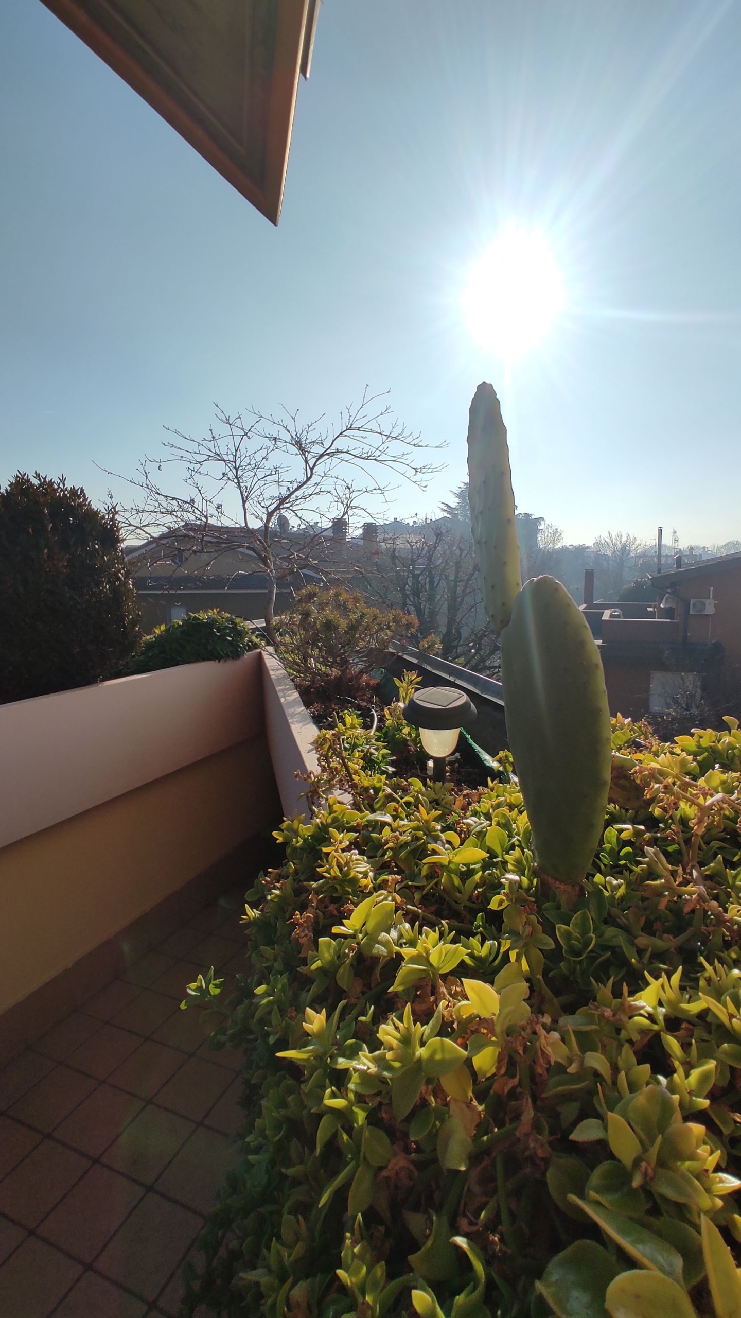 19 terrazzo AFFITTO – Via Niccolò Macchiavelli 11A Paderno Dugnano (MI) – Bilocale
